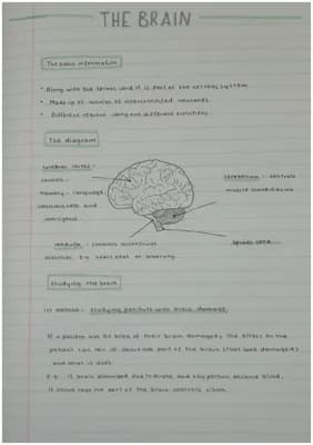 Know The brain  thumbnail