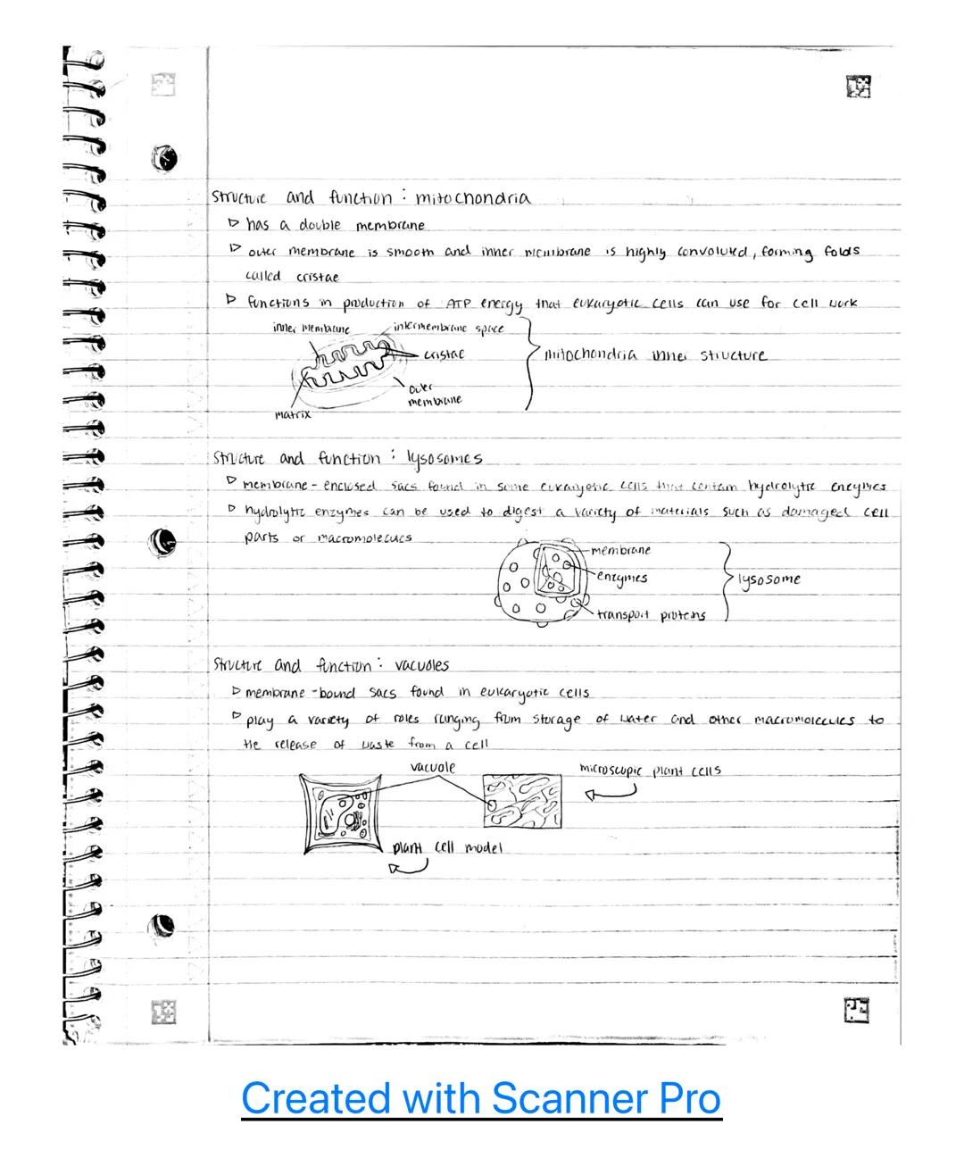 1.196
Unit 2
2.1- cell structure: Subcellular components.
Subcellular components universal to all cells
all living cells contain a genome an