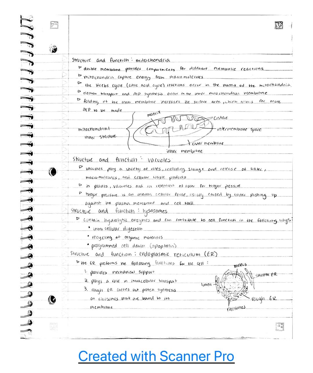 1.196
Unit 2
2.1- cell structure: Subcellular components.
Subcellular components universal to all cells
all living cells contain a genome an