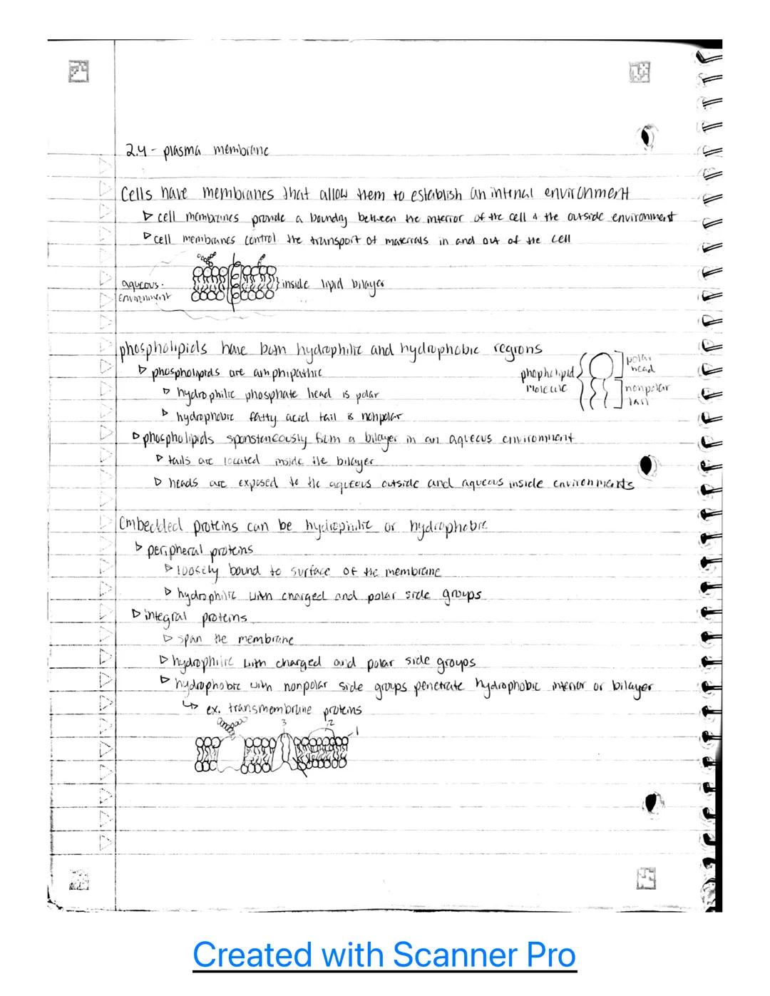 1.196
Unit 2
2.1- cell structure: Subcellular components.
Subcellular components universal to all cells
all living cells contain a genome an