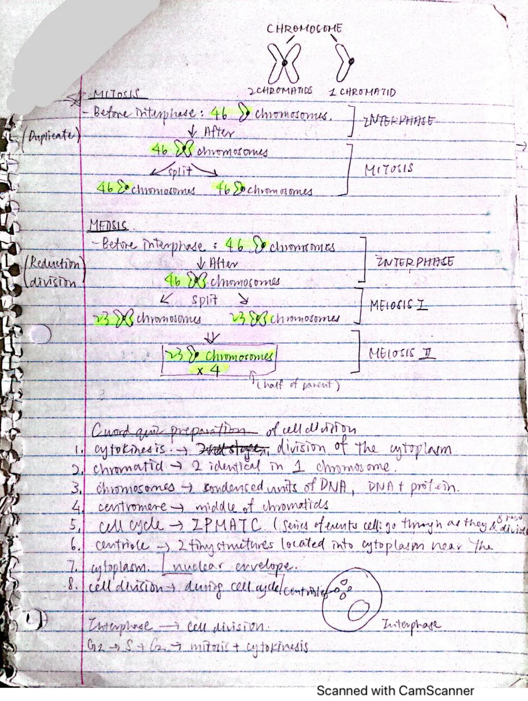 12 out
Sonns
BIOGOGY NOTES
1/27 (THUR)
? Why are cells small ?.
17. small cens = efficiency
? How do cells stay small?
↳ through division - 