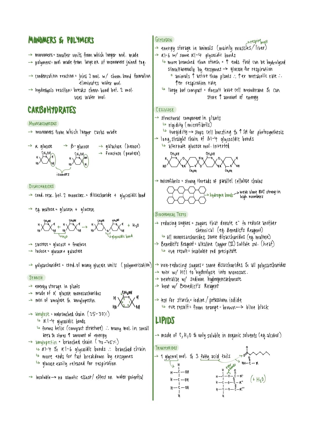 MONOMERS & POLYMERS
→ monomers smaller units from which larger mol. made
polymers: mol. made from large no. of monomers joined tog.
→ conden