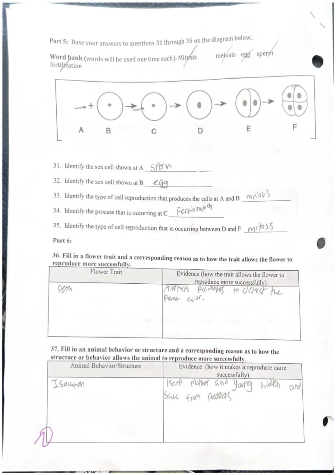 Use the Flower diagram to help answer questions 12-19.
A
12.) What part of the flower contains pollen.
Aanther
C.) petal
B.) ovule
D.) sepal