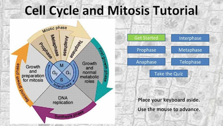 Know Cell Cycle and Mitosis Notes Tutorial w/ Guided Interactions and Practice Quiz 2023 thumbnail