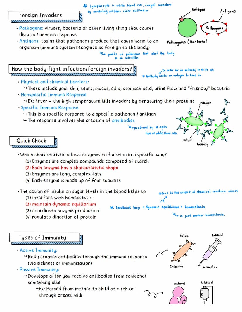 Immune System
Aim: How does the body defend itself from infections that threaten homeostasis?
Concentration
Reginents Question
AL
• A typica