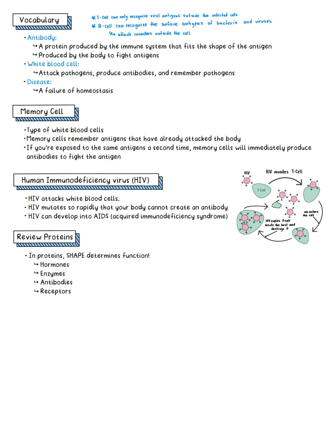 Immune System
Aim: How does the body defend itself from infections that threaten homeostasis?
Concentration
Reginents Question
AL
• A typica