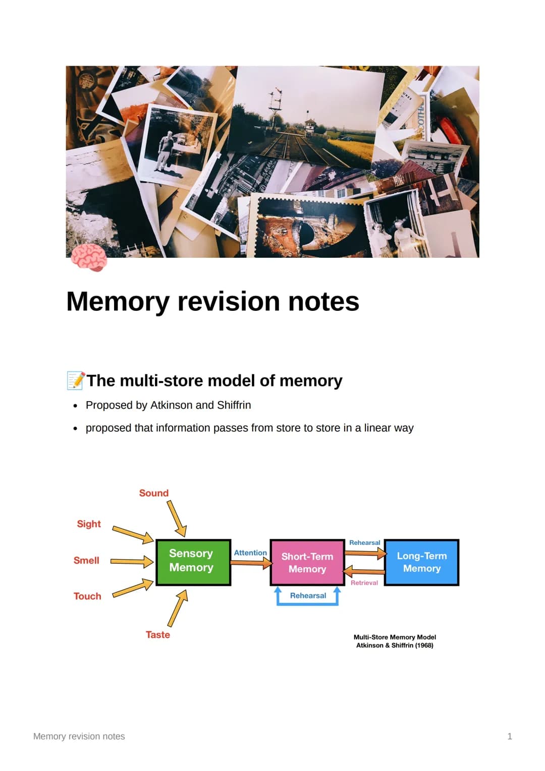 Memory revision notes
The multi-store model of memory
Proposed by Atkinson and Shiffrin
proposed that information passes from store to store
