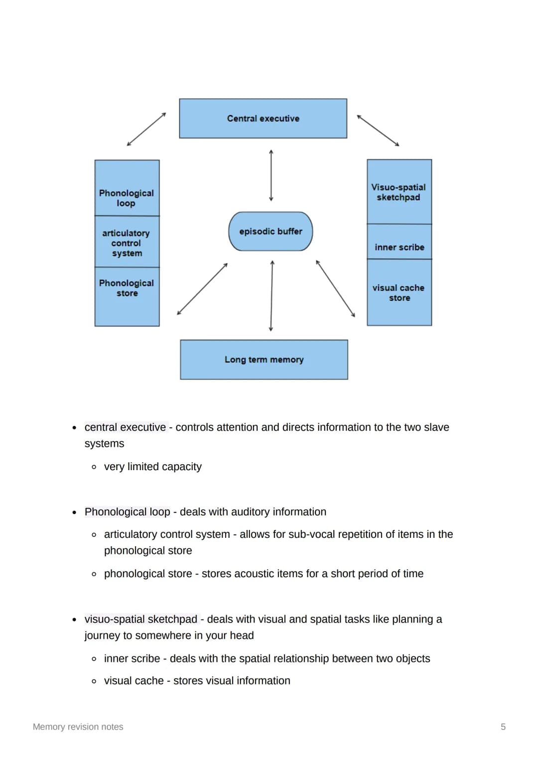 Memory revision notes
The multi-store model of memory
Proposed by Atkinson and Shiffrin
proposed that information passes from store to store