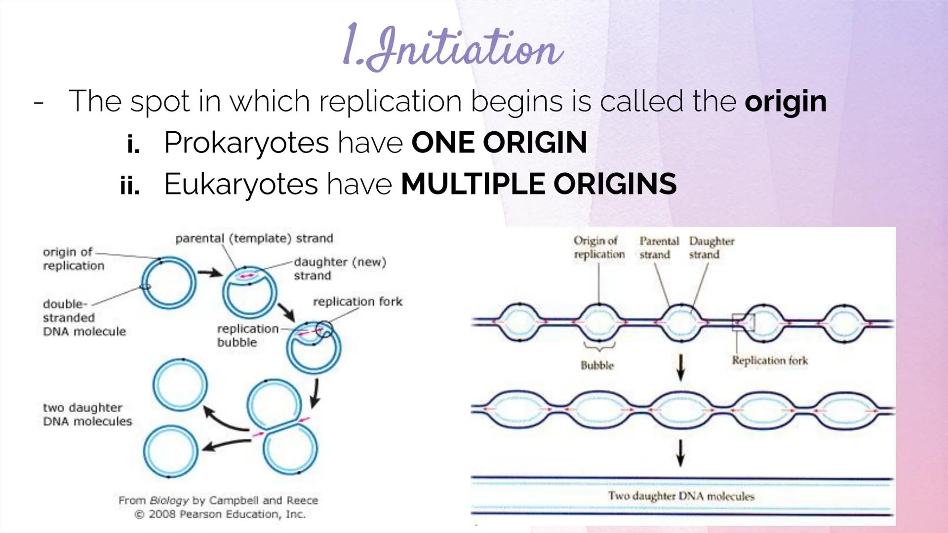 
<h2 id="dnastructure">DNA Structure</h2>
<p>DNA, which stands for Deoxyribonucleic Acid, is a double-stranded molecule made up of nucleotid