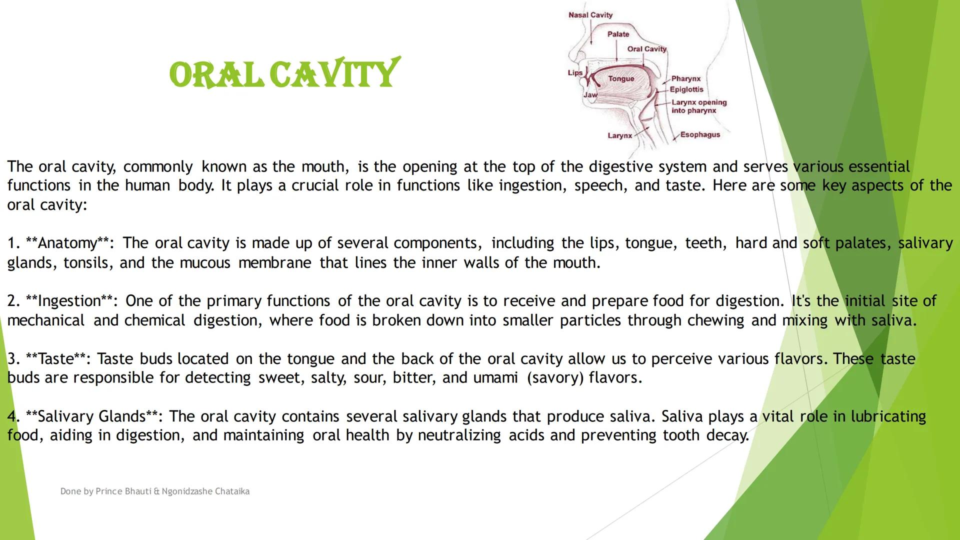 HUMAN DIGESTIVE
SYSTEM
DONE BY PRINCE BHAUTI & NGONIDZASHE CHATAIKA
Oral cavity, Throat
Oesophagus, Stomach
&
Salivary Glands Mouth
Liver
Ga