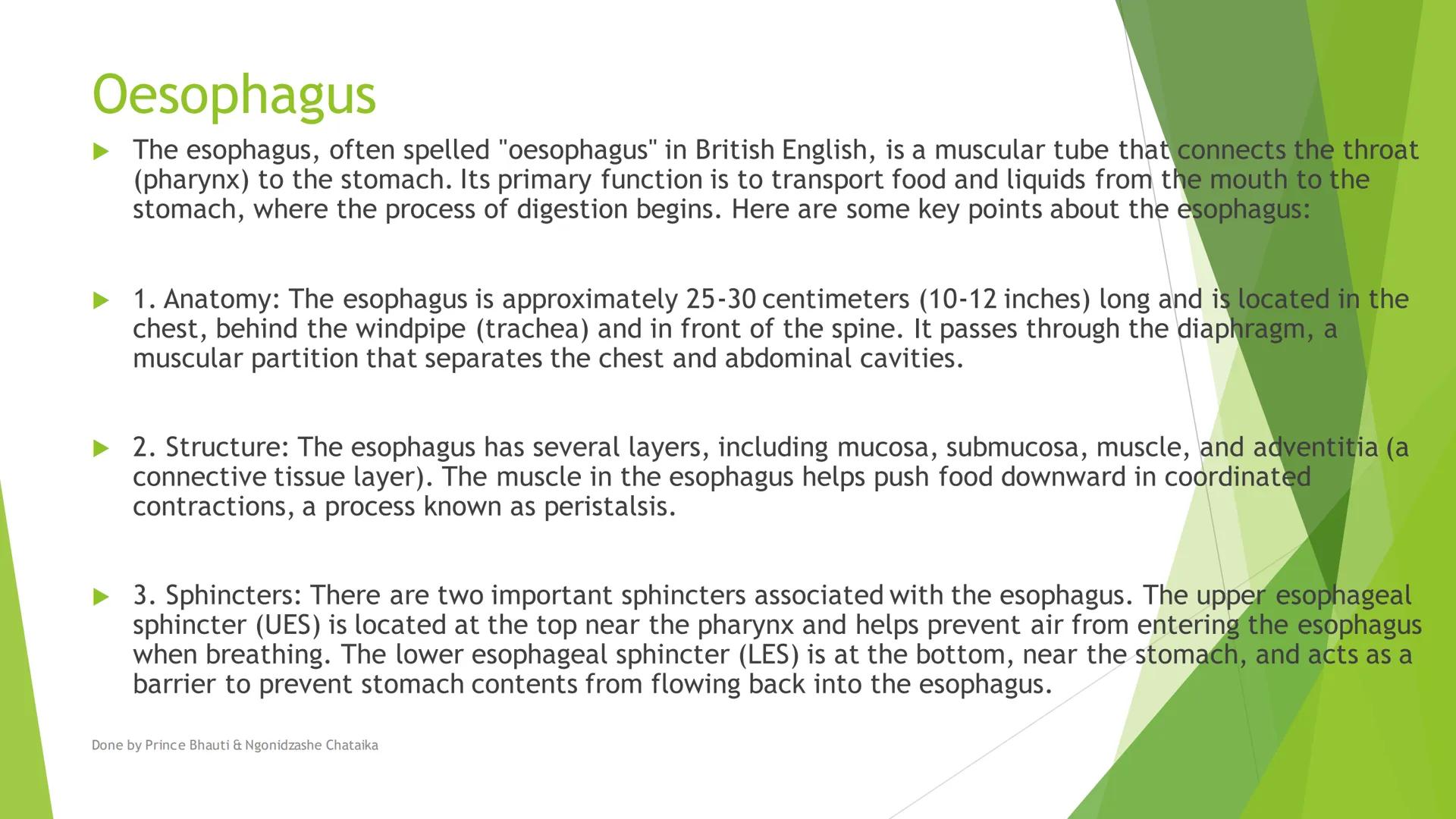HUMAN DIGESTIVE
SYSTEM
DONE BY PRINCE BHAUTI & NGONIDZASHE CHATAIKA
Oral cavity, Throat
Oesophagus, Stomach
&
Salivary Glands Mouth
Liver
Ga