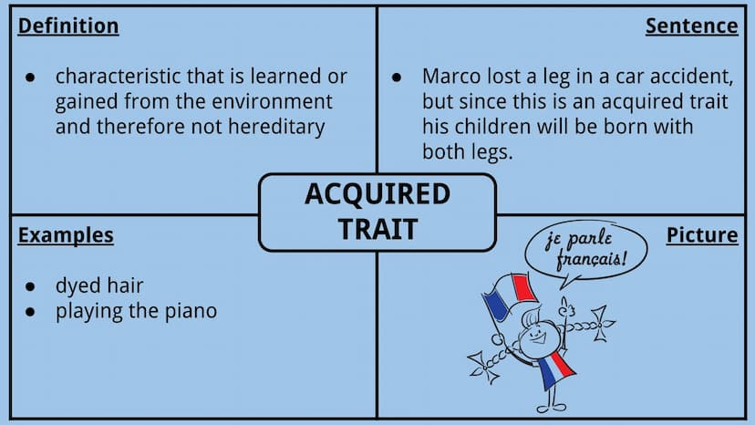 Genetics Vocabulary
Directions:
Each vocabulary word has its own slide. The definition is given to you.
Complete all boxes:
Example Box: Giv