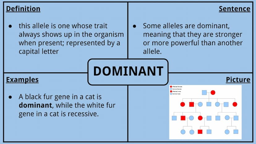 Genetics Vocabulary
Directions:
Each vocabulary word has its own slide. The definition is given to you.
Complete all boxes:
Example Box: Giv
