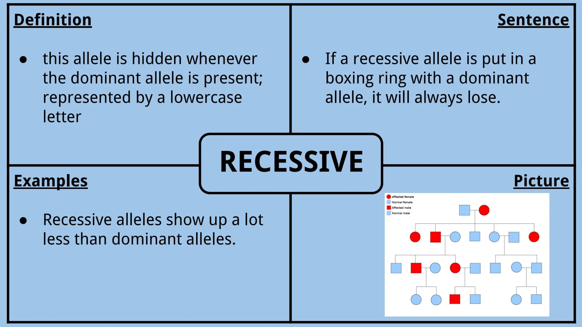 Genetics Vocabulary
Directions:
Each vocabulary word has its own slide. The definition is given to you.
Complete all boxes:
Example Box: Giv