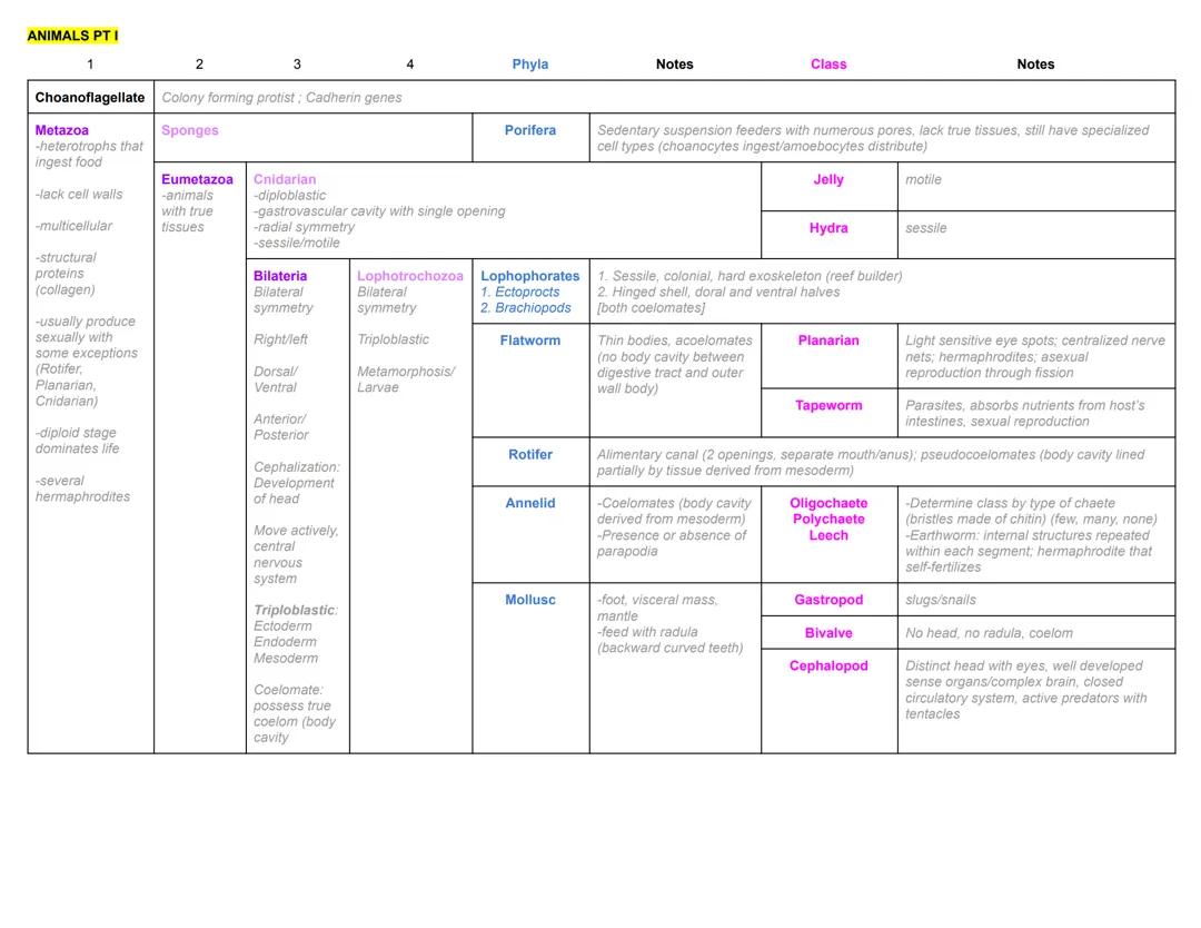 Microbiology: Animals