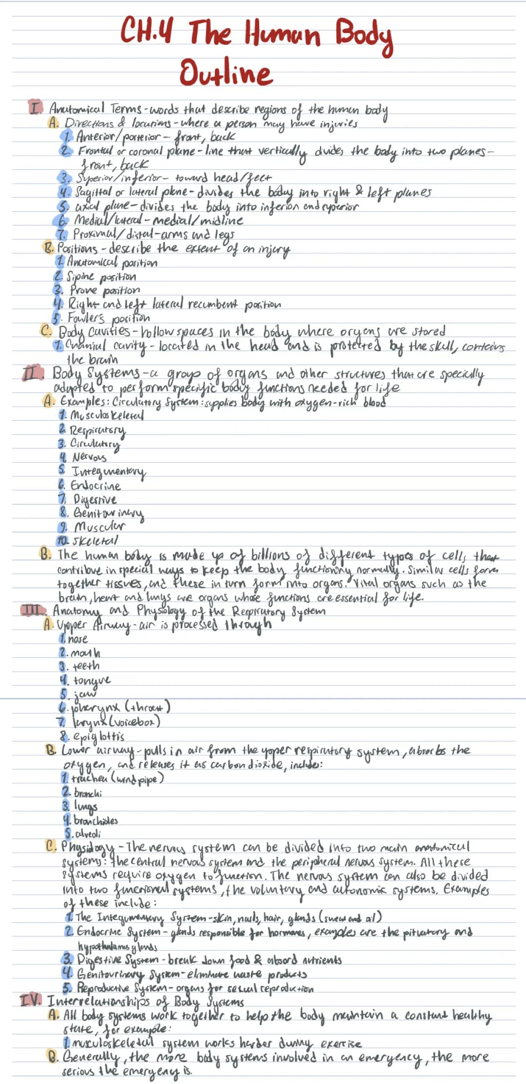 Anatomy and physiology 