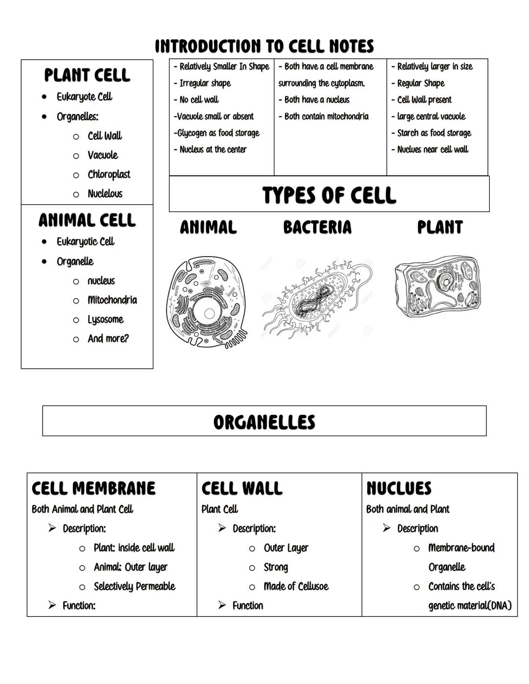 # INTRODUCTION TO CELL NOTES

## CELL IS THE BASIC UNIT OF
### LIFE
The Cell is the basic unit

- Cell is the smallest unit of living
organi