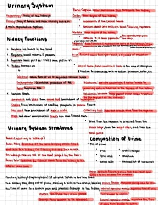 Know Urinary System thumbnail