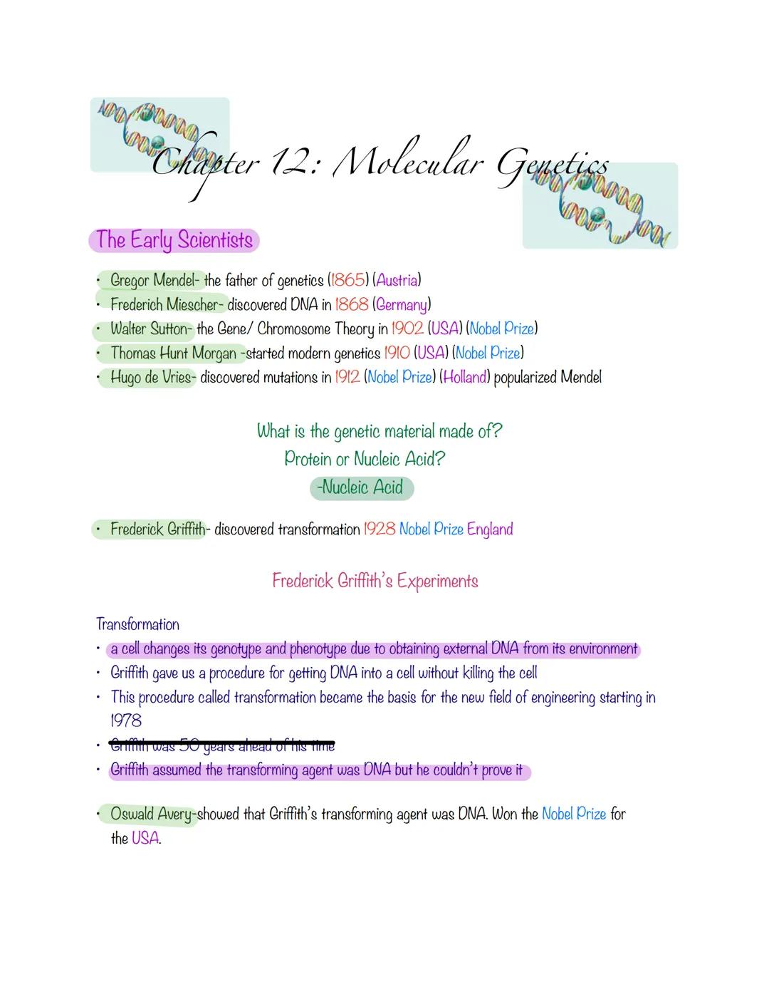 Molecular Genetics Study Guide