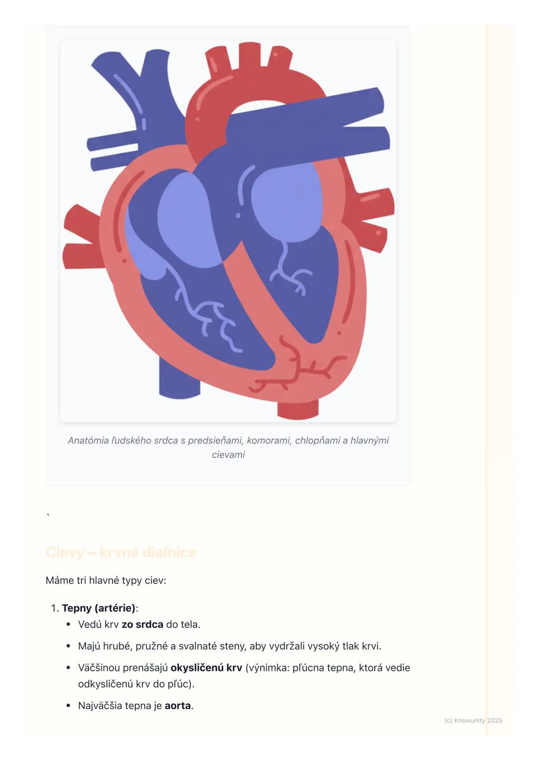 # Obehová sústava

## 1. Prehľad obehovej sústavy

Obehová sústava je pre naše telo úplne kľúčová. Predstav si ju ako takú
diaľničnú sieť, k