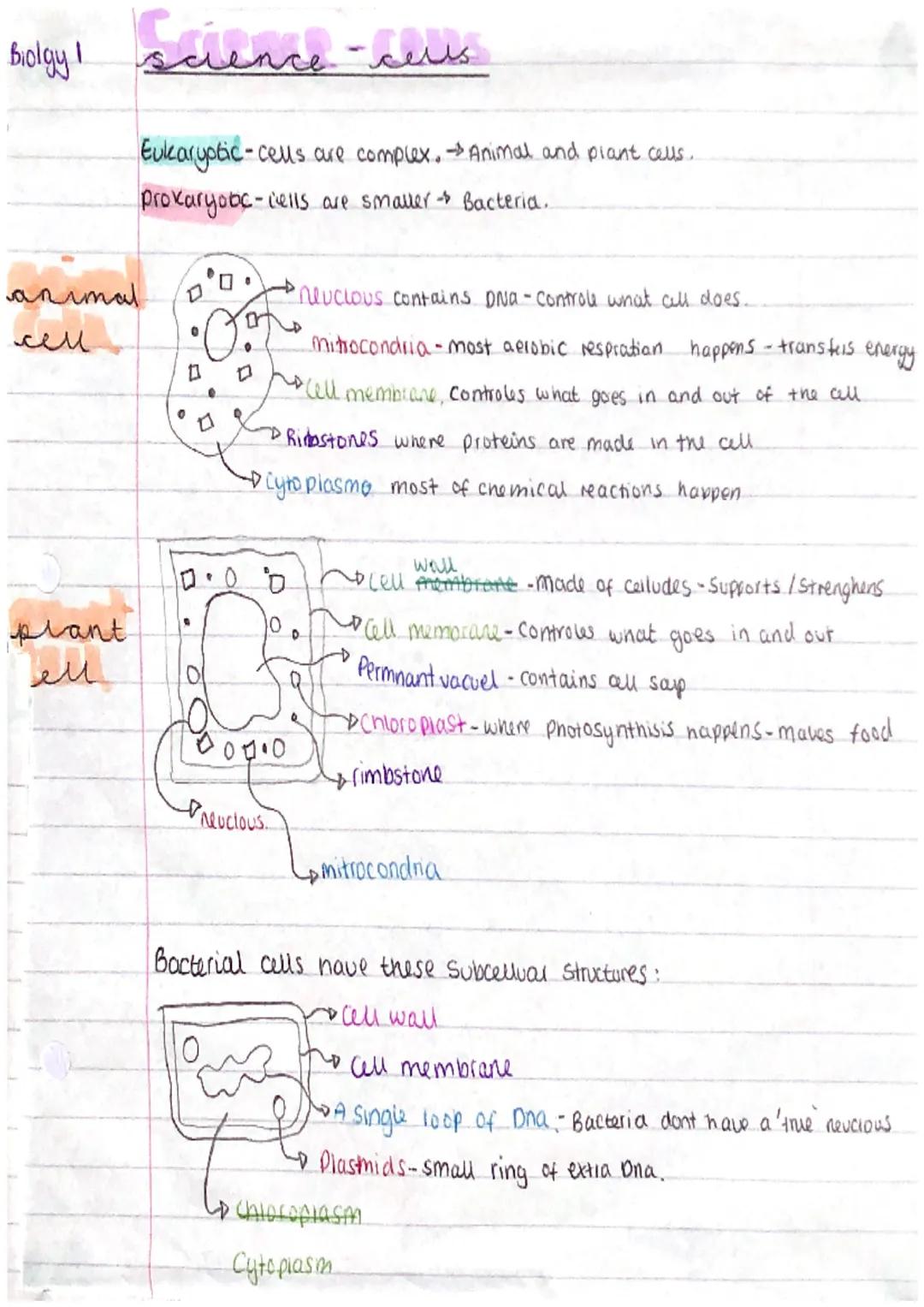 enerostry is curce
a science - elements
An element is a substance made up of atoms that all have
the same number of protons in their neclous