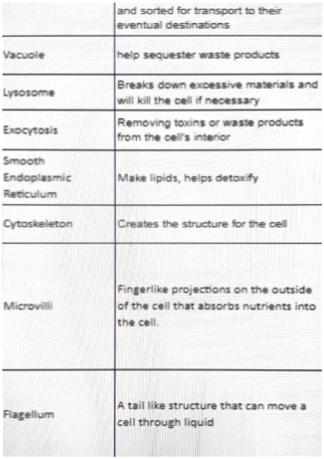Cell membrane
Membrane pores
Blood in arteries
Blood in veins
Cytoplasm
Mitochondria
Nucleus
DNA
Nucleolus
Ribosomes
Rough Endoplasmic
Retic