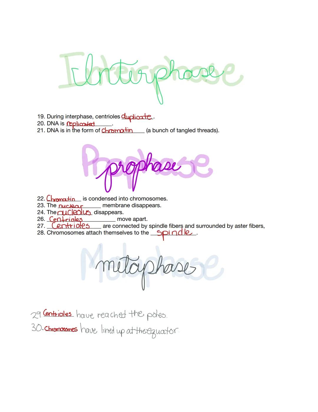 MITOSIS
REVIEW
AND
Karfar
Gaithrie C 1. Mitosis is the division of the nucleus
2. Cytokinesis is the division of the cytoplasm.
3. Name the 