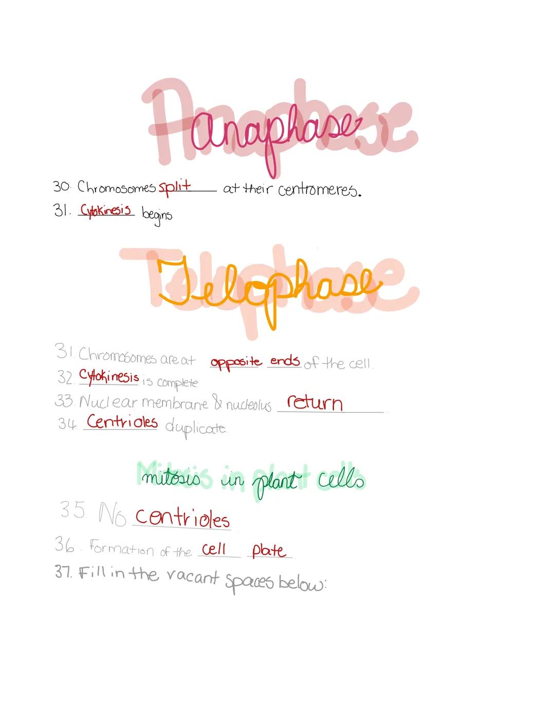 MITOSIS
REVIEW
AND
Karfar
Gaithrie C 1. Mitosis is the division of the nucleus
2. Cytokinesis is the division of the cytoplasm.
3. Name the 