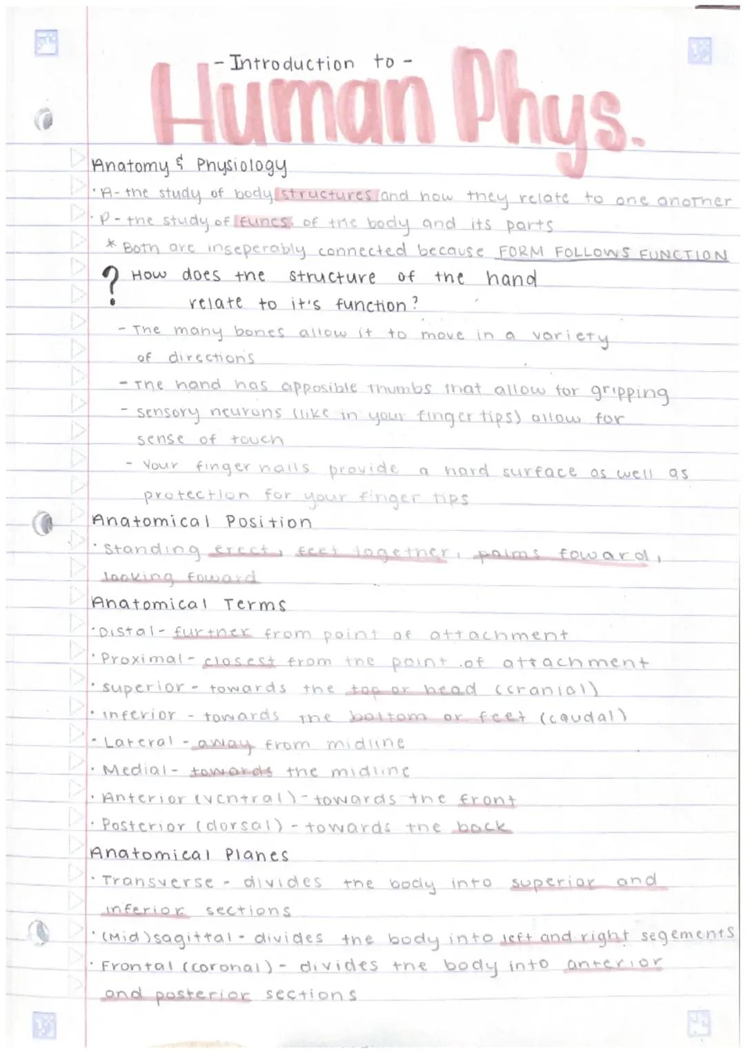 Introduction to Human Physiology 