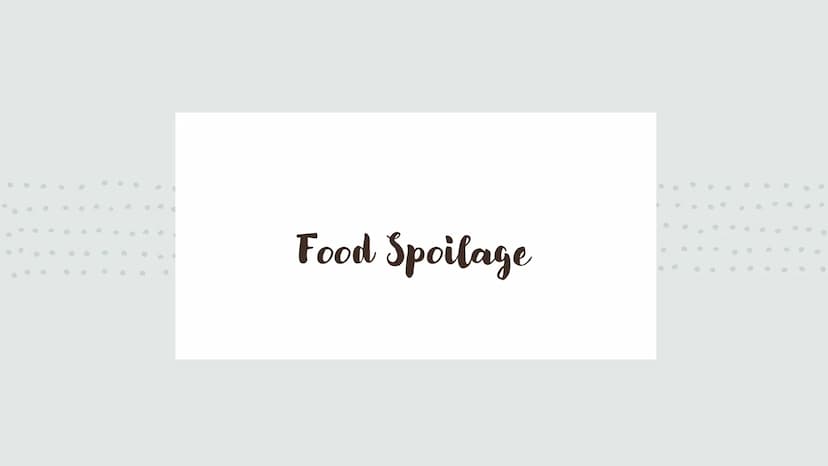6
0
.
Food Spoilage Microorganisms
For example:
●
Bacteria
Mould
Yeast Microorganisms
Conditions for Growth
●
•
Warmth
Moisture
Food (protei