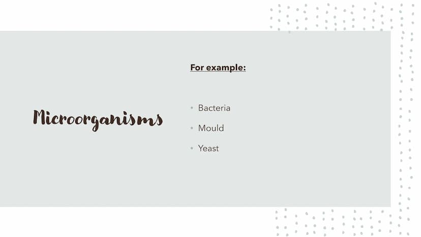 6
0
.
Food Spoilage Microorganisms
For example:
●
Bacteria
Mould
Yeast Microorganisms
Conditions for Growth
●
•
Warmth
Moisture
Food (protei