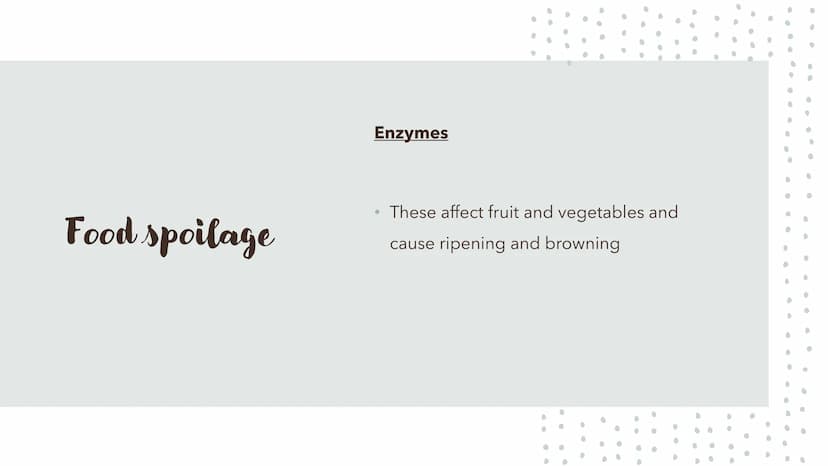 6
0
.
Food Spoilage Microorganisms
For example:
●
Bacteria
Mould
Yeast Microorganisms
Conditions for Growth
●
•
Warmth
Moisture
Food (protei