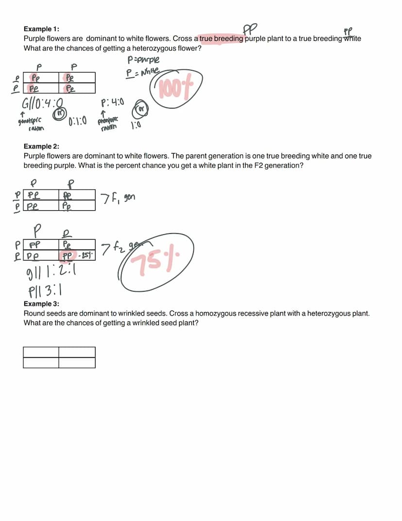 
<h2 id="introductiontomendeliangenetics">Introduction to Mendelian Genetics</h2>
<p>Genetics is the branch of Biology that studies heredity