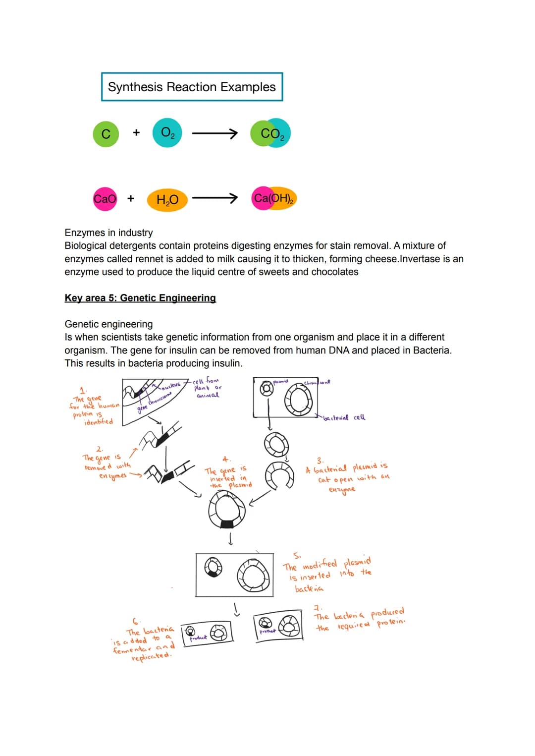 Key area 1: Cell Structure
Cells are the smallest basic, unit of life and are the buildings blocks for all living organisms.
Organisms made 