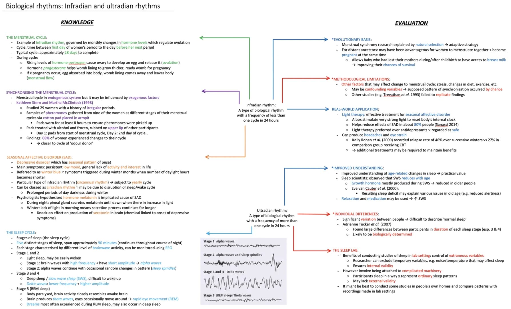 Biological rhythms: Infradian and ultradian rhythms
THE MENSTRUAL CYCLE:
- Example of infradian rhythm, governed by monthly changes in hormo