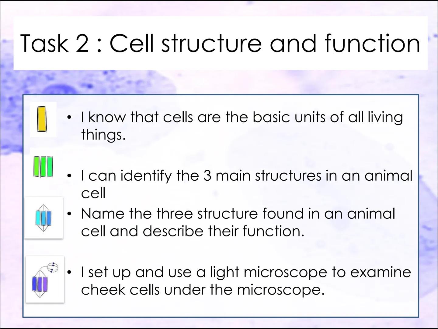 Lesson 2:
Cell structure and function ●
Starter activity
Last lesson you learned about the parts
of a light microscope.
Without looking in y