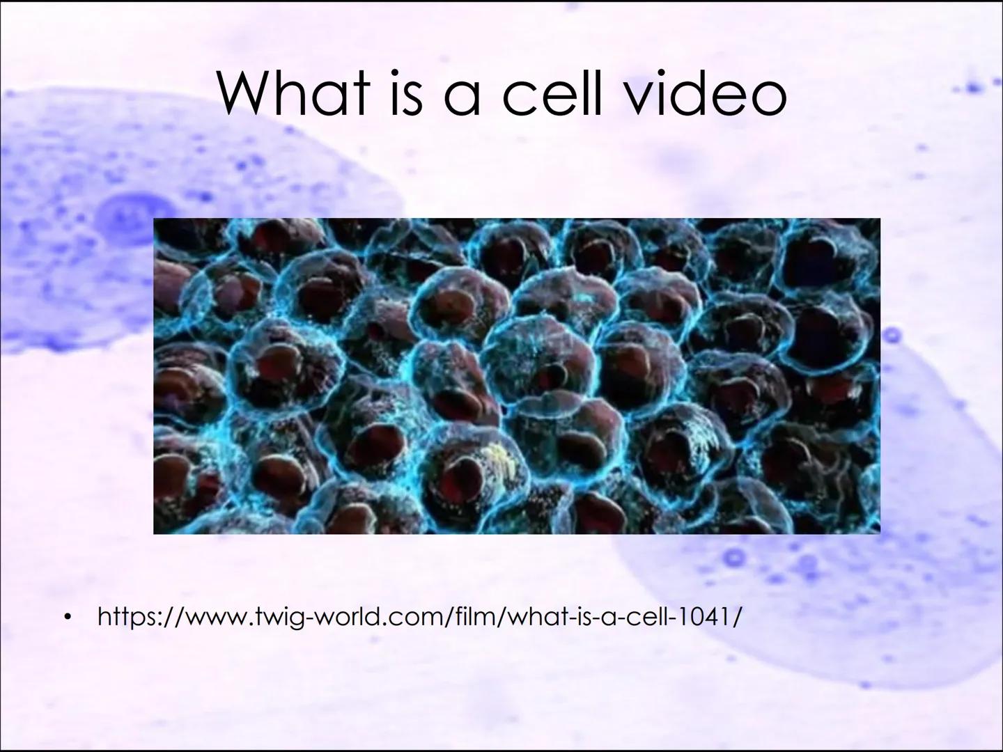 Lesson 2:
Cell structure and function ●
Starter activity
Last lesson you learned about the parts
of a light microscope.
Without looking in y
