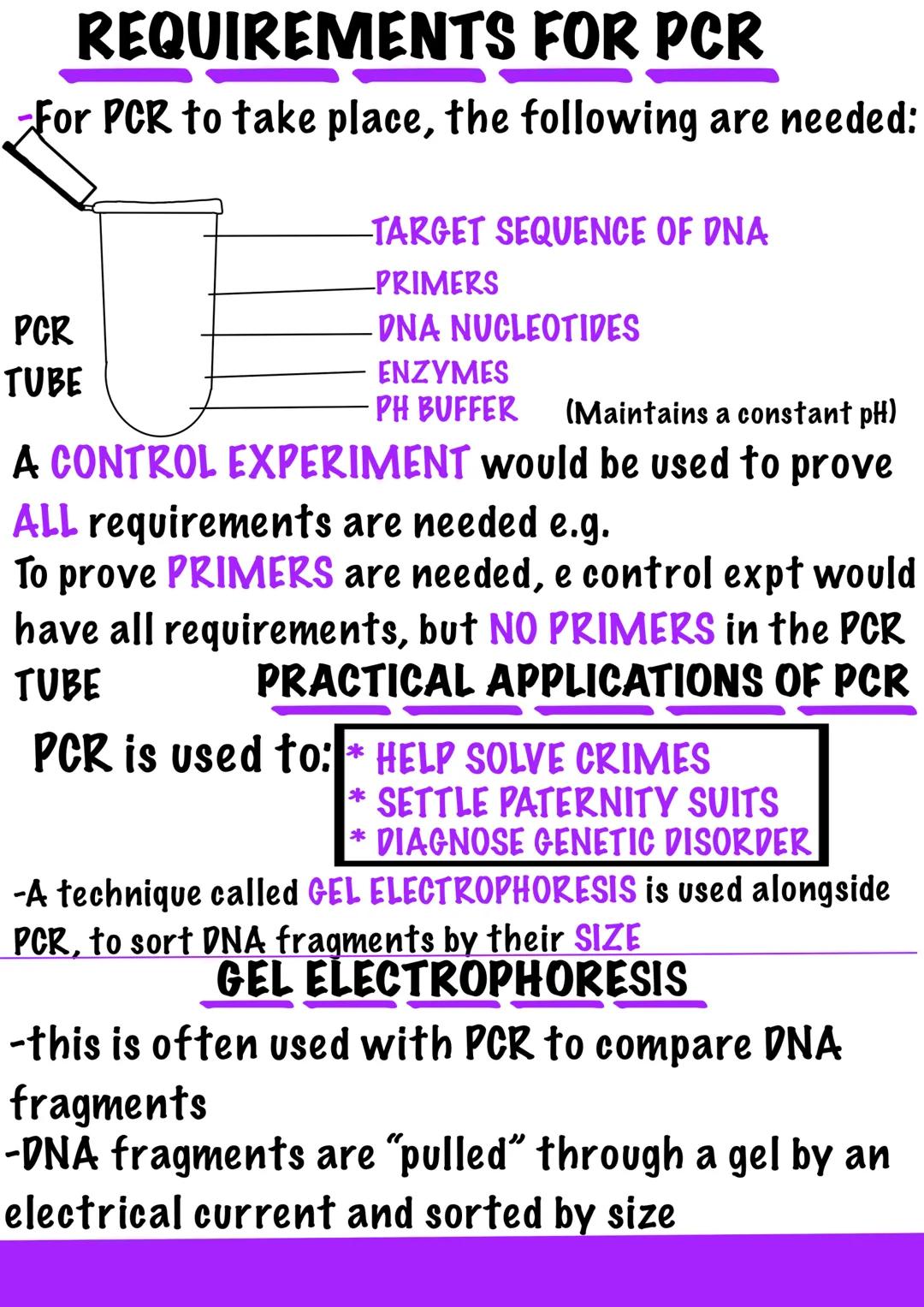 PCR
-PCR is used to AMPLIFY TARGET SEQUENCES of
DNA
-This is done over many cycles (20-30) to produce
millions of copies of the target seque