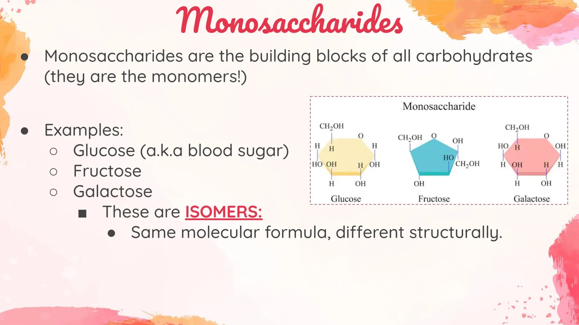 Carbohydrates
Body's main source of energy!
• Monomers: Monosaccharides
. Most carbs have a 1:2:1 ratio of Carbon: Hydrogen: Oxygen.
Ex: Glu