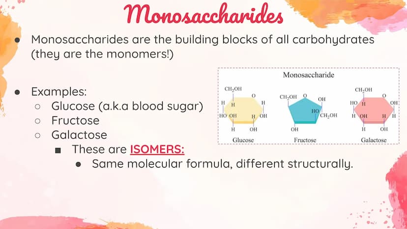 Carbohydrates
Body's main source of energy!
• Monomers: Monosaccharides
. Most carbs have a 1:2:1 ratio of Carbon: Hydrogen: Oxygen.
Ex: Glu