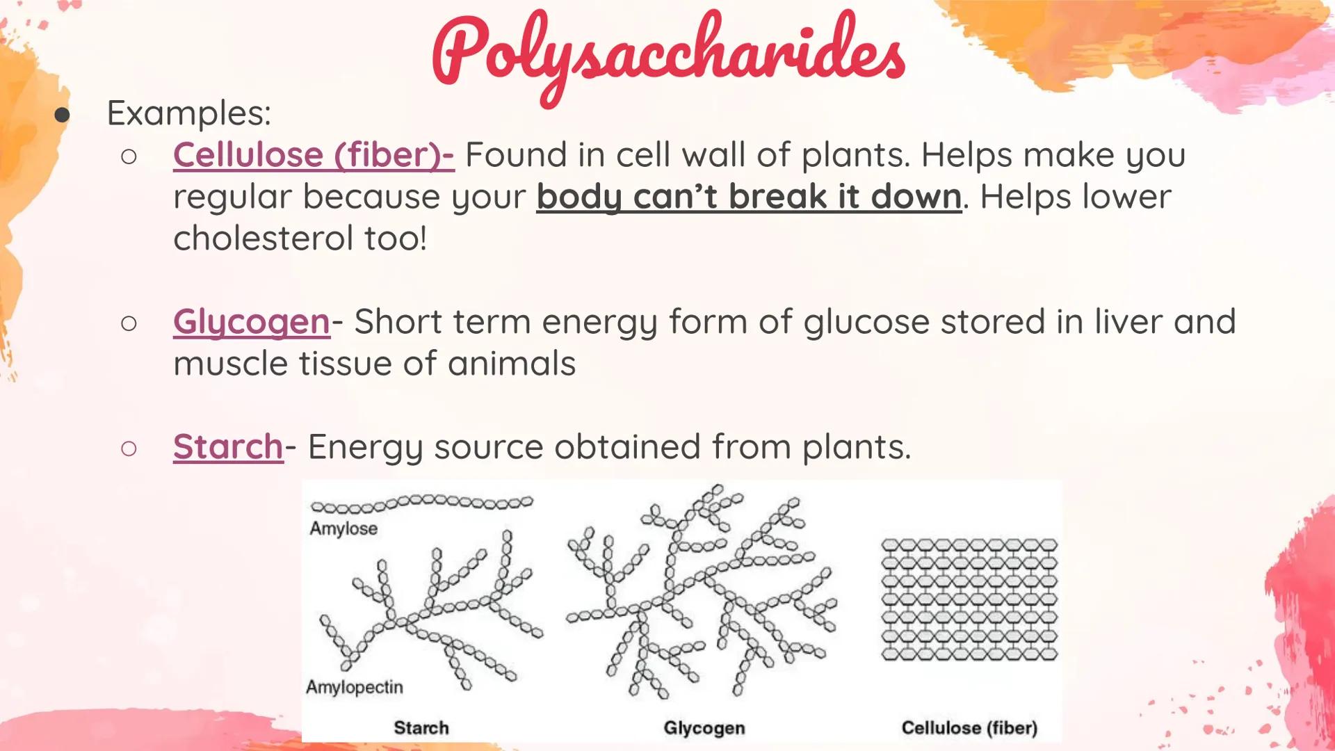 Carbohydrates
Body's main source of energy!
• Monomers: Monosaccharides
. Most carbs have a 1:2:1 ratio of Carbon: Hydrogen: Oxygen.
Ex: Glu