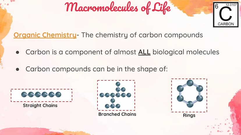 Carbohydrates
Body's main source of energy!
• Monomers: Monosaccharides
. Most carbs have a 1:2:1 ratio of Carbon: Hydrogen: Oxygen.
Ex: Glu