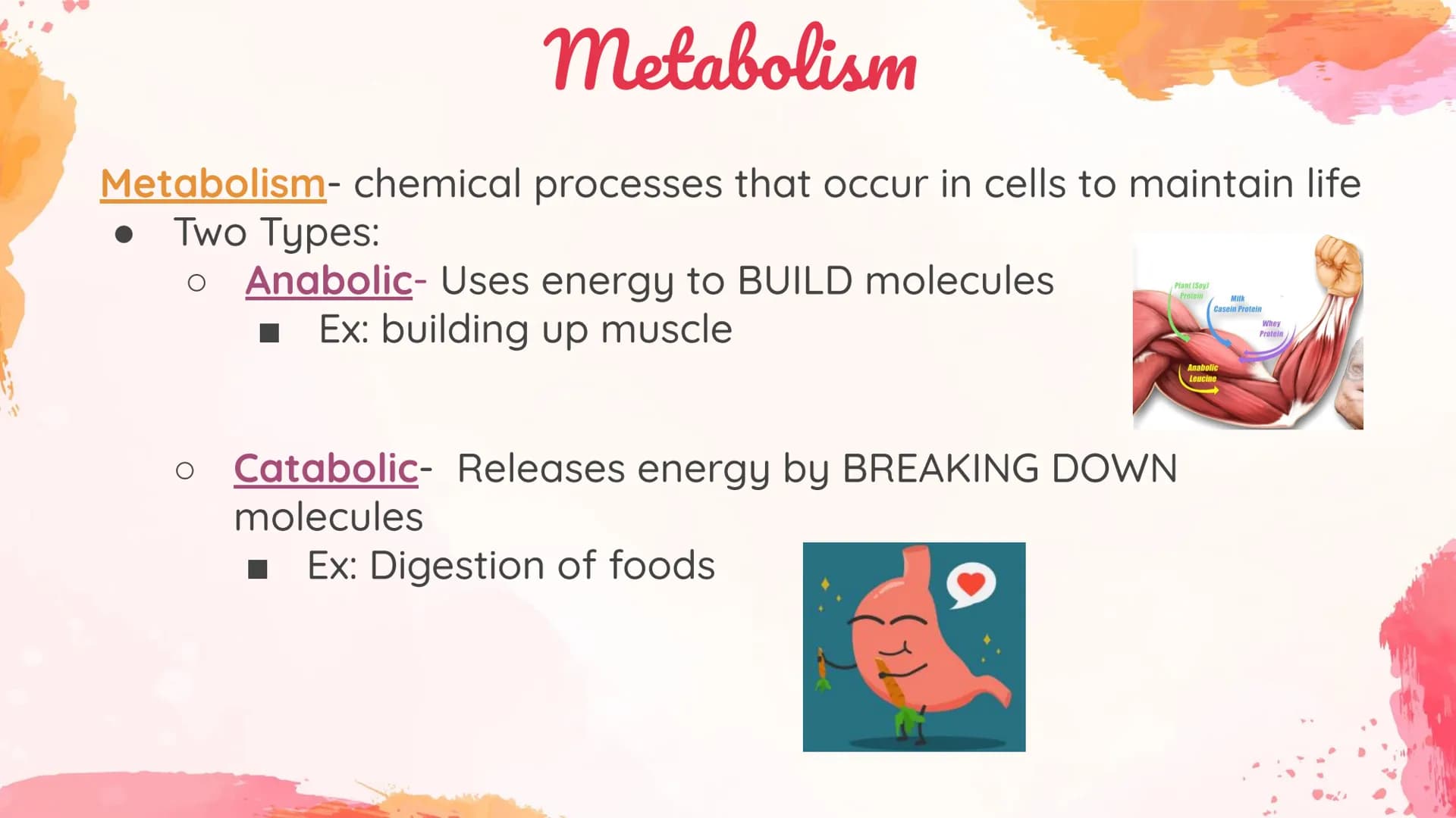 Carbohydrates
Body's main source of energy!
• Monomers: Monosaccharides
. Most carbs have a 1:2:1 ratio of Carbon: Hydrogen: Oxygen.
Ex: Glu