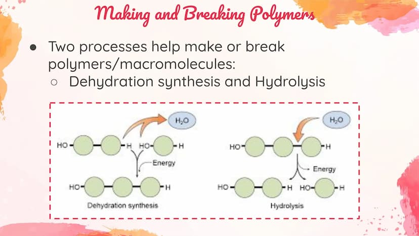 Carbohydrates
Body's main source of energy!
• Monomers: Monosaccharides
. Most carbs have a 1:2:1 ratio of Carbon: Hydrogen: Oxygen.
Ex: Glu