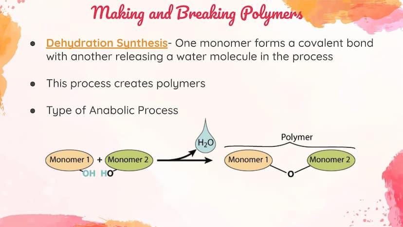 Carbohydrates
Body's main source of energy!
• Monomers: Monosaccharides
. Most carbs have a 1:2:1 ratio of Carbon: Hydrogen: Oxygen.
Ex: Glu