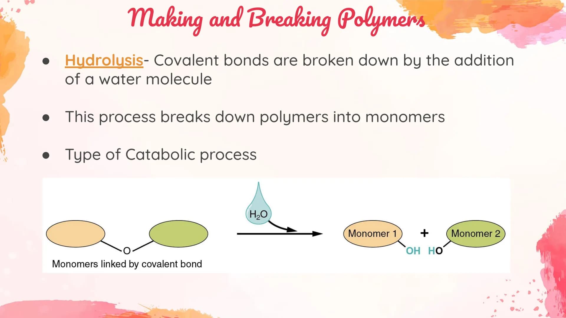 Carbohydrates
Body's main source of energy!
• Monomers: Monosaccharides
. Most carbs have a 1:2:1 ratio of Carbon: Hydrogen: Oxygen.
Ex: Glu