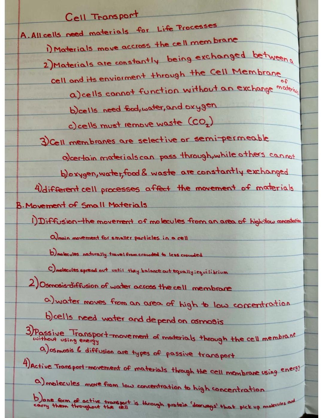 Cell Transport: 7th Grade Advanced Biology Worksheet, PDF, Notes, Answers