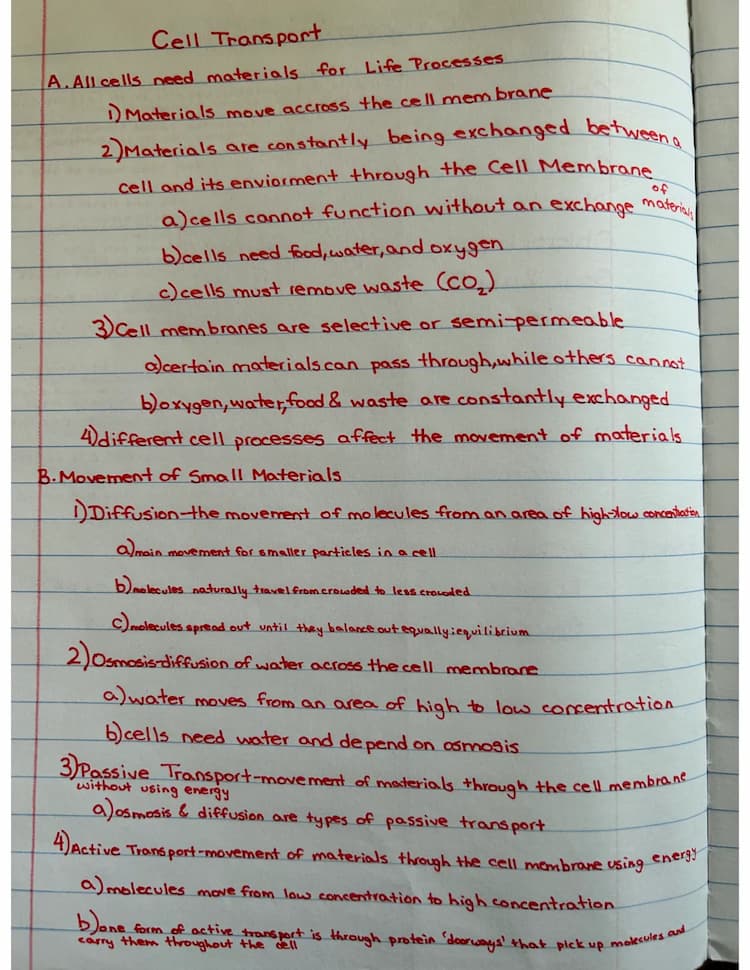Cell Transport: 7th Grade Advanced Biology Worksheet, PDF, Notes 