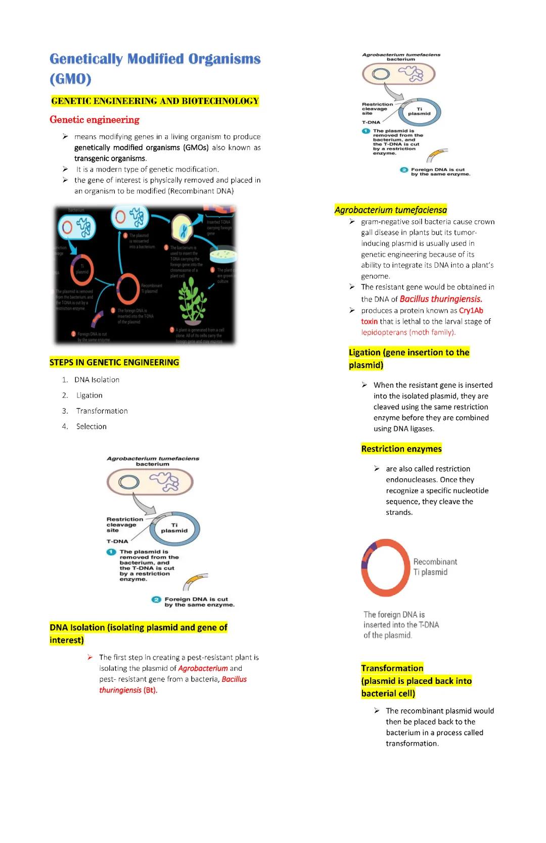 GENETICALLY MODIFIED ORGANISMS 