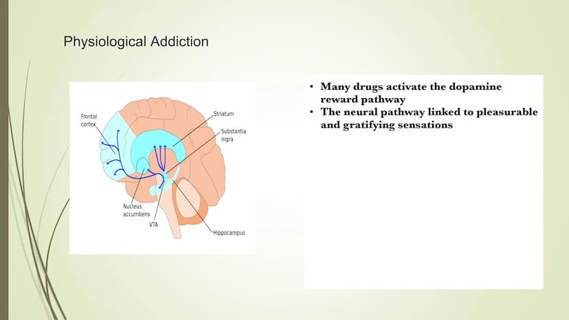 The Effects Psychoactive Drugs
● Substances which cause changes in body chemistry
• Produce changes in perception, conscious awareness, and/